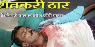 रानडुक्कराच्या हल्लात ईसम जागीच ठार, गोंडपिपरी तालुक्यातील घटना.