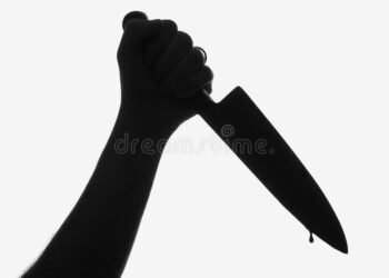 तुझ्या बहिणीशी का बोलू देत नाही म्हणत, महाविद्यालयात जाणाऱ्या विद्यार्थ्यावर प्रवेशद्वाराजवळ सपासप चाकूने केले वार.