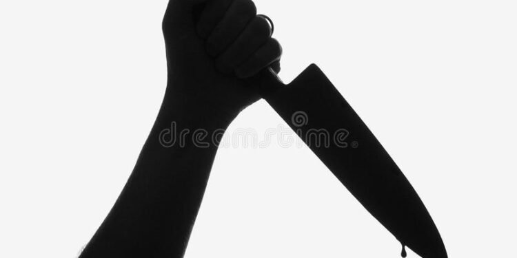 तुझ्या बहिणीशी का बोलू देत नाही म्हणत, महाविद्यालयात जाणाऱ्या विद्यार्थ्यावर प्रवेशद्वाराजवळ सपासप चाकूने केले वार.