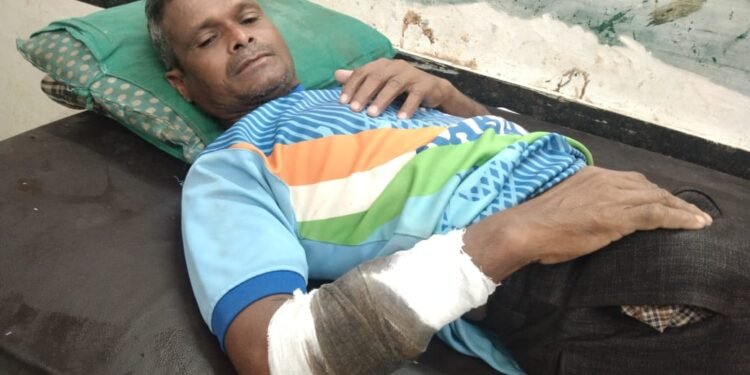 रान डुक्कराचा हल्यात चेकबेरडी येथील ईसम गंभीर जखमी जखमीला केले उपचारार्थ रुग्णालयात दाखल गोंडपिपरी तालुक्यातील घटना