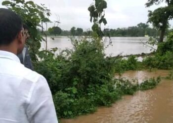 वाशिम जिल्हाधिकाऱ्यां कडून तोंडगाव परिसरातील पूर परिस्थितीची पाहणी.