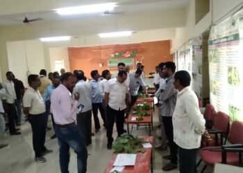 कृषी विभाग व आत्मा यांच्या वतीने झरी येथे रानभाजी महोत्सव उत्साहात साजरा.