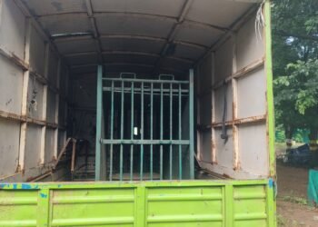 नागरी वस्तीत शिकार करणाऱ्या बिबट्याला जेरबंद करण्याचा वनमंत्र्यांनी दिला आदेश.