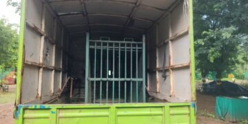 नागरी वस्तीत शिकार करणाऱ्या बिबट्याला जेरबंद करण्याचा वनमंत्र्यांनी दिला आदेश.