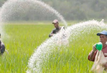 संरक्षित असलेला दोन हजार मेट्रीक टन युरीया विक्रीकरिता मुक्त, जादा दराने विक्री झाल्यास शेतक-यांनी तक्रार करण्याचे आवाहन