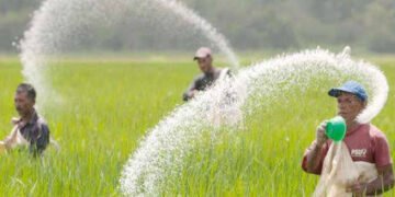 संरक्षित असलेला दोन हजार मेट्रीक टन युरीया विक्रीकरिता मुक्त, जादा दराने विक्री झाल्यास शेतक-यांनी तक्रार करण्याचे आवाहन