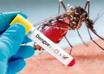 नाशिक शहरात स्वाइन फ्लूबरोबरच डेंग्यूने डोके वर काढल्याने आरोग्य यंत्रणेवरील वाढला ताण.