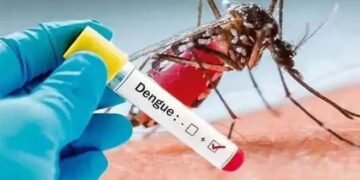 नाशिक शहरात स्वाइन फ्लूबरोबरच डेंग्यूने डोके वर काढल्याने आरोग्य यंत्रणेवरील वाढला ताण.