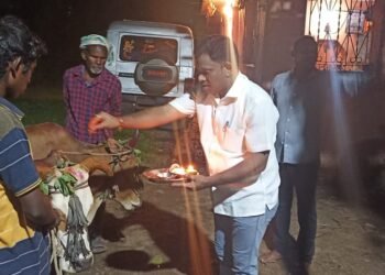 जि.प.माजी अध्यक्ष अजय कंकडालवार यांनी बैल जोडीची विधिवत पूजा करून घेतले आशीर्वाद.