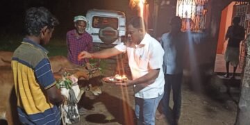 जि.प.माजी अध्यक्ष अजय कंकडालवार यांनी बैल जोडीची विधिवत पूजा करून घेतले आशीर्वाद.