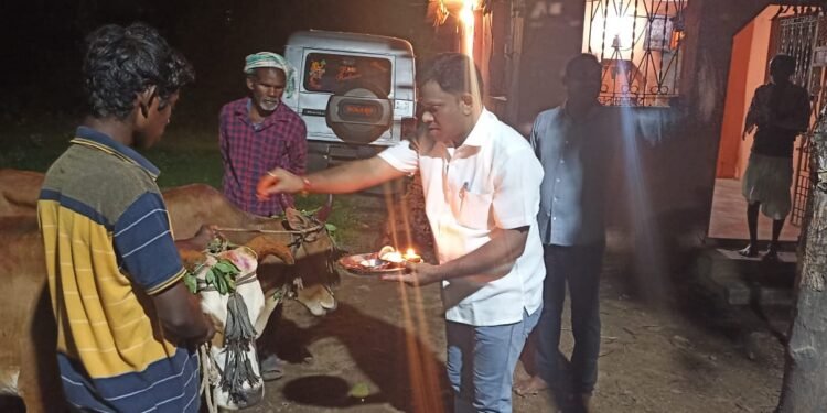 जि.प.माजी अध्यक्ष अजय कंकडालवार यांनी बैल जोडीची विधिवत पूजा करून घेतले आशीर्वाद.