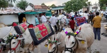 पाचगाव येथे बैलपोळा उत्साहापूर्ण वातावरणात साजरा.