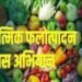 चंद्रपूर जिल्हात एकात्मिक फलोत्पादन विकास अभियानांतर्गत फळे, फुले, मसाला लागवड व जुन्या फळबागांचे होणार पुनरुज्जीवन.