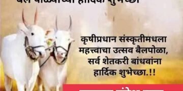 वर्ष भर शेतात राबणाऱ्या बैला प्रती कृतज्ञता राहूया, सर्व मिळून पोळा साजरा करूया.