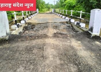 राजाराम ते मरनेली मार्गवरील बनलेल्या पुलात झाला भष्ट्राचार, अवघ्या पाच सहा महिन्यातच पुलावर पडले खड्डे.