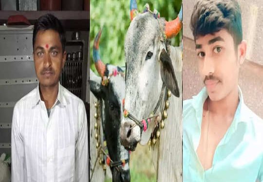 पोळ्याच्या सणाच्या निमित्ताने बैलांना आंघोळ करण्यासाठी नेलं, तलावात बुडून काका- पुतण्याचा दुर्दैवी मृत्यू.