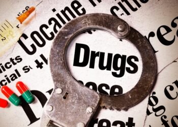 अंमली पदार्थांची तस्करी करणा-या २ परराज्यातील इसमांनकडुन १,६२,७५०/- रुपये किंमतीचे अफुची बोंडे, दोडा चुरा हा अंमली पदार्थ जप्त.