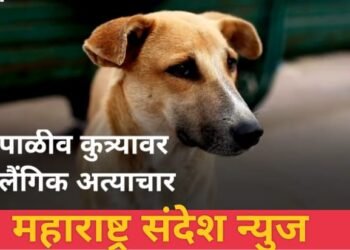 संतापजनक 65 वर्षीय नराधमाने केला पाळीव कुत्रीवर अत्याचार.