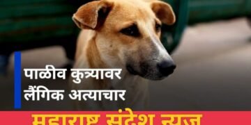 संतापजनक 65 वर्षीय नराधमाने केला पाळीव कुत्रीवर अत्याचार.