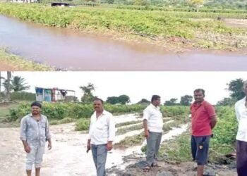 नाशिक ढगफुटीसदृश पावसामुळे अनेक शेतकर्यांची शेती गेली वाहून, बळीराजा संकटात.