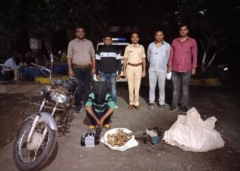 समुद्रपुर : पोलीसांनी चोरी व घरफोडीचे 3 गुन्हे आणले उघडकीस. आरोपींना ठोकल्या बेड्या.