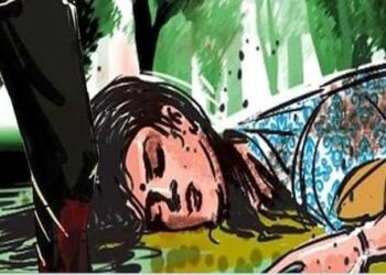 रागाच्या भरात आपल्याच पत्नीच्या डोक्यात घातले गॅस सिलेंडर, मग अस काही झाल की सर्व संपल.