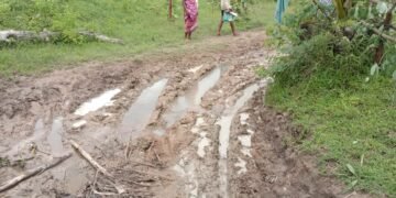 गडचिरोली: दामरंचा ते चिटवेली जाण्यासाठी रस्त्याच नाही, स्वातंत्र प्राप्तीनंतर सुद्धा जिव घेण्याप्रवास, गेल्या महिन्यात गर्भवती महिलेच्या वाटेतच जीव गेला.