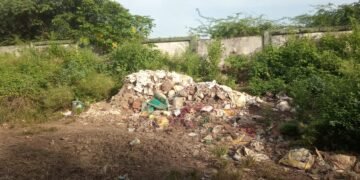 सरकारी अस्पताल के सेनेटरी पैड्स रोड पर फेकने से वातावरण हुआ प्रदुषित जंगली जानवरों के स्वास्थ को धोखा.