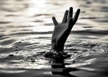 गोंडपिपारी: बैल धुवायला गेलेला शेतकरी पाण्याच्या प्रवाहात गेला वाहुन, तारसा खुर्द नाल्या जवळील घटना.