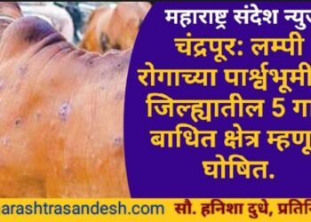 चंद्रपूर: लम्पी रोगाच्या पार्श्वभूमीवर जिल्ह्यातील 5 गावे बाधित क्षेत्र म्हणून घोषित.