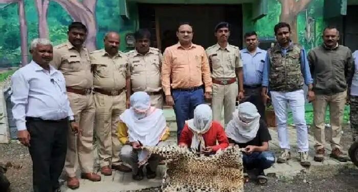 नाशिक: बिबट्याची कातडी, चिंकाराचे आणि निलगायीचे शिंगे तस्करी प्रकरणी तीन जणांना अटक, त्यात दोन विद्धार्थी.