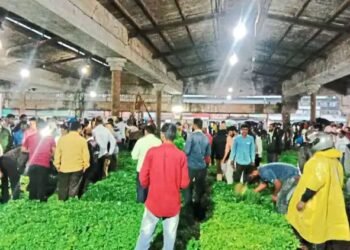 नाशिक बाजार समितीच्या लिलावात कोथिंबिरीला सोळा हजार रुपये भाव मिळाला.