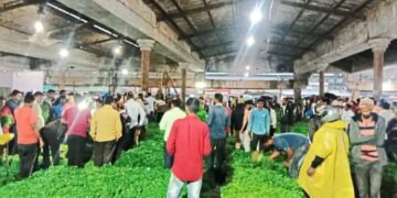 नाशिक बाजार समितीच्या लिलावात कोथिंबिरीला सोळा हजार रुपये भाव मिळाला.