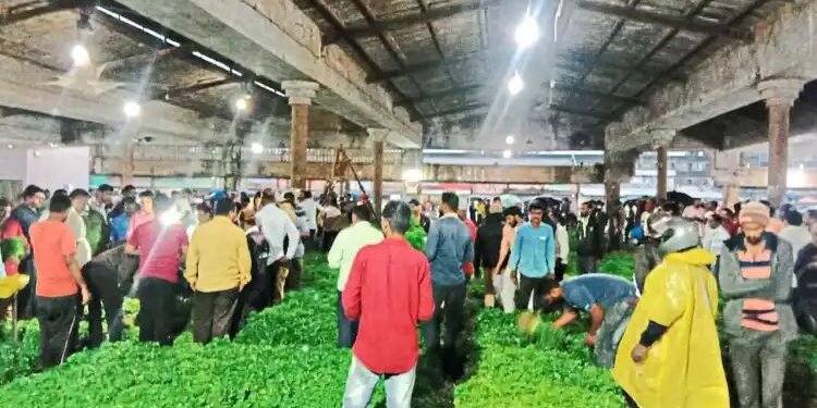 नाशिक बाजार समितीच्या लिलावात कोथिंबिरीला सोळा हजार रुपये भाव मिळाला.