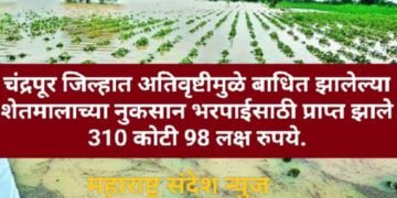 चंद्रपूर जिल्हात अतिवृष्टीमुळे बाधित झालेल्या शेतमालाच्या नुकसान भरपाईसाठी प्राप्त झाले 310 कोटी 98 लक्ष रुपये.