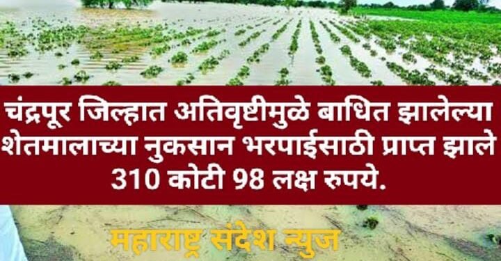 चंद्रपूर जिल्हात अतिवृष्टीमुळे बाधित झालेल्या शेतमालाच्या नुकसान भरपाईसाठी प्राप्त झाले 310 कोटी 98 लक्ष रुपये.