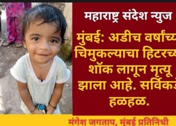 मुंबई: अडीच वर्षांच्या चिमुकल्याचा हिटरच्या शॉक लागून मृत्यू, सर्विकडे हळहळ.