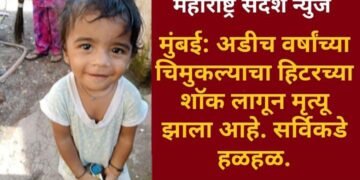 मुंबई: अडीच वर्षांच्या चिमुकल्याचा हिटरच्या शॉक लागून मृत्यू, सर्विकडे हळहळ.