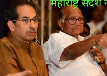 शरद पवारांनी संजय  राऊतांना वाऱ्यावर सोडलं; भाजपच्या टीकेवर शरद पवारांचे प्रत्युत्तर, म्हणाले…