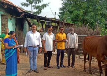 कोरपणा तालुक्यातील कवठाळा येथे लंपी आजाराचे शंभर टक्के लसीकरण पूर्ण.