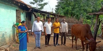 कोरपणा तालुक्यातील कवठाळा येथे लंपी आजाराचे शंभर टक्के लसीकरण पूर्ण.