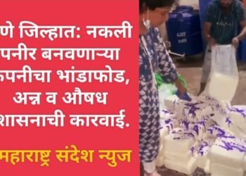 पुणे जिल्हात: नकली पनीर बनवणाऱ्या कंपनीचा भांडाफोड, अन्न व औषध प्रशासनाची कारवाई.