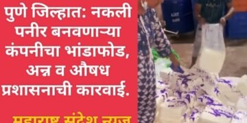 पुणे जिल्हात: नकली पनीर बनवणाऱ्या कंपनीचा भांडाफोड, अन्न व औषध प्रशासनाची कारवाई.