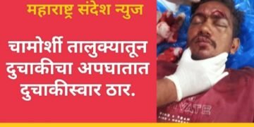 चामोर्शी तालुक्यात दुचाकीचा अपघातात दुचाकीस्वार ठार.