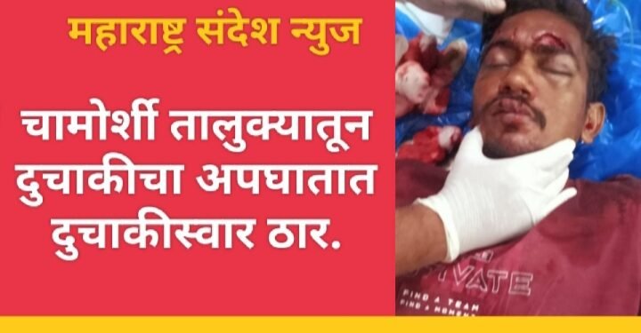 चामोर्शी तालुक्यात दुचाकीचा अपघातात दुचाकीस्वार ठार.