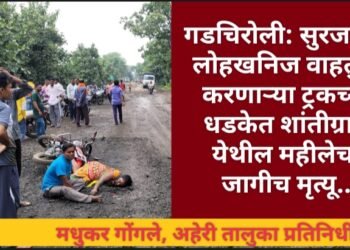 गडचिरोली: सुरजागड लोहखनिज वाहतुक करणाऱ्या ट्रकच्या धडकेत शांतीग्राम येथील महीलेचा जागीच मृत्यू.