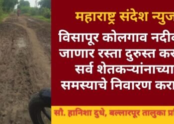 विसापूर कोलगाव नदीकडे जाणार रस्ता दुरुस्त करून सर्व शेतकऱ्यांच्या समस्याचे निवारण करावे.