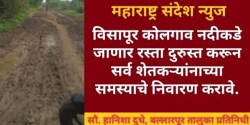 विसापूर कोलगाव नदीकडे जाणार रस्ता दुरुस्त करून सर्व शेतकऱ्यांच्या समस्याचे निवारण करावे.
