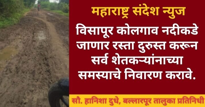विसापूर कोलगाव नदीकडे जाणार रस्ता दुरुस्त करून सर्व शेतकऱ्यांच्या समस्याचे निवारण करावे.