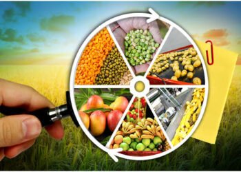 बारावीनंतर अन्नप्रक्रिया अभ्यासक्रमात पदवीधर व्हा आदित्य अन्नतंत्र महाविद्यालयाचे आवाहन.